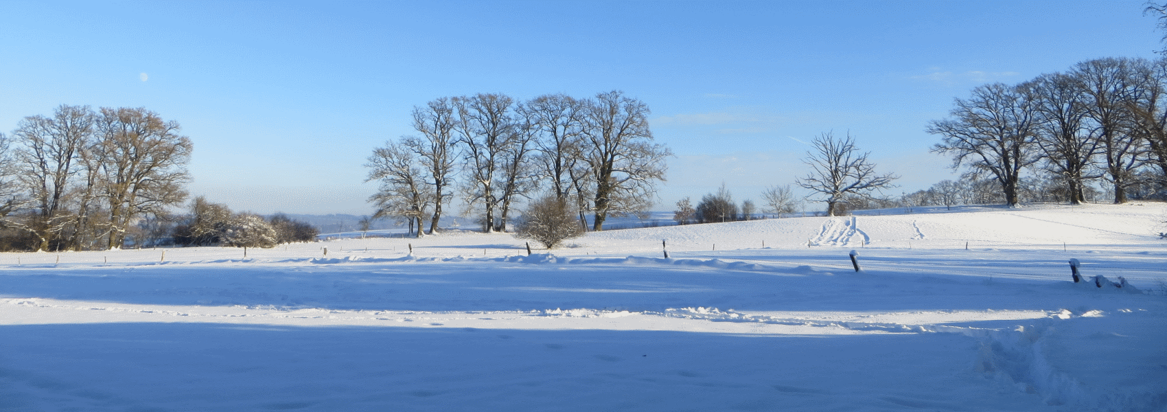 Bis zu 50% Beitragsanpassung sind ein klares Zeichen!