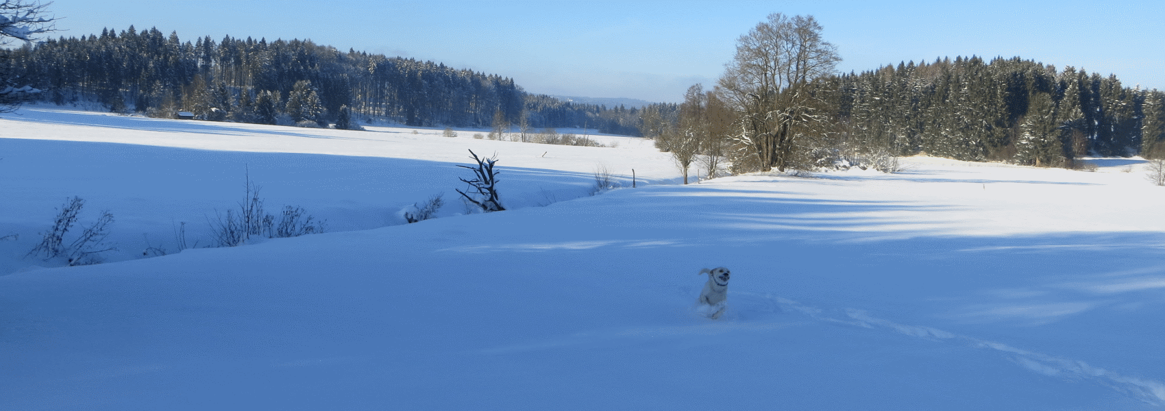 Es ist ein Himmel weiter Unterschied, wo man sein Geld anlegt.