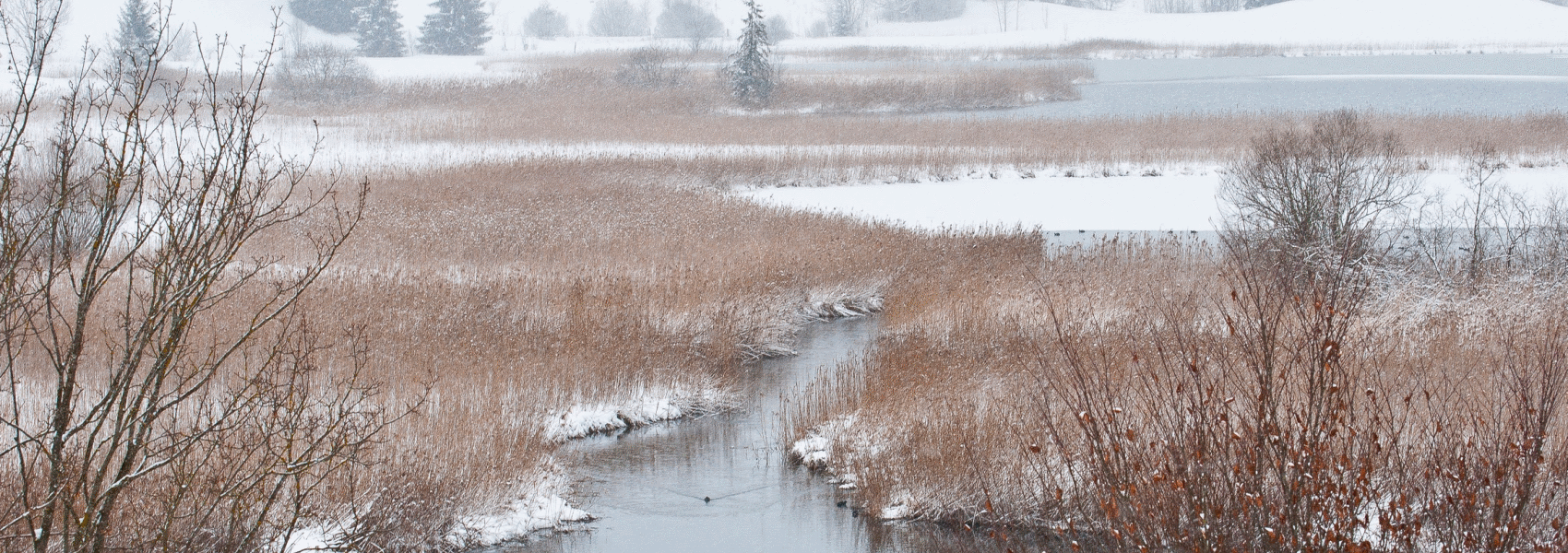 Durch einen Wechsel können vermutlich auch Sie, bei besserem Versicherungsschutz, Prämien sparen!